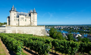 Jazz article: Chenin Blanc from the Loire