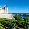 Read "Chenin Blanc from the Loire" reviewed by Matt Penman