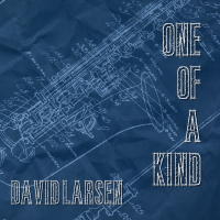 Album One of a Kind by David Larsen