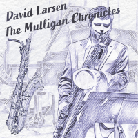 Album The Mulligan Chronicles by David Larsen