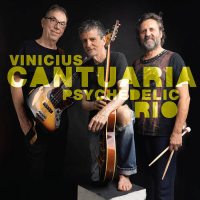 Vinicius Cantuaria: Psychedelic Rio