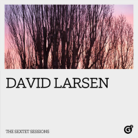 Album The Sextet Sessions by David Larsen