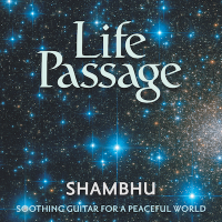 Shambhu Releases New Single, 'Life Passage,' Dedicated To Chick Corea